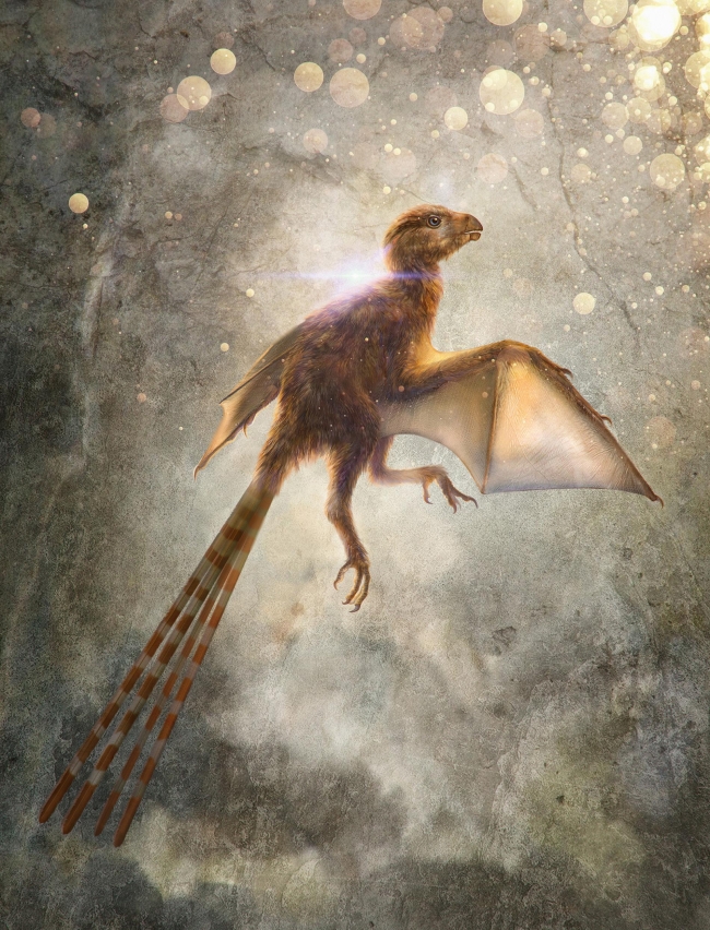 Yarasa kanatlı yeni bir dinozor türü keşfedildi